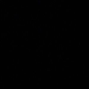 Meet your Posher, Ariel